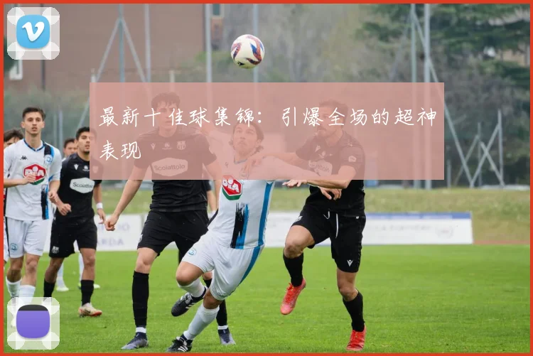 最新十佳球集锦：引爆全场的超神表现