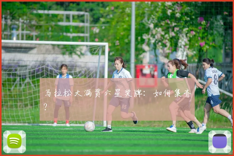 马拉松大满贯六星奖牌：如何集齐？